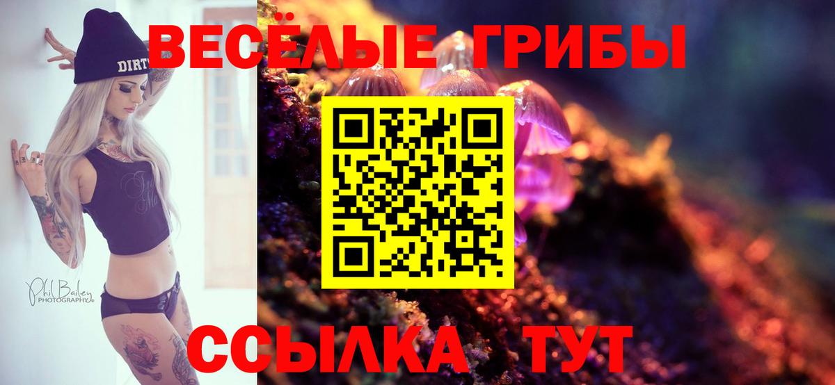 Южноуральск  Псилоцибиновые грибы Psilocybe  Галлюциногенные грибы GOLDEN TEACHER  Вход с VPN 